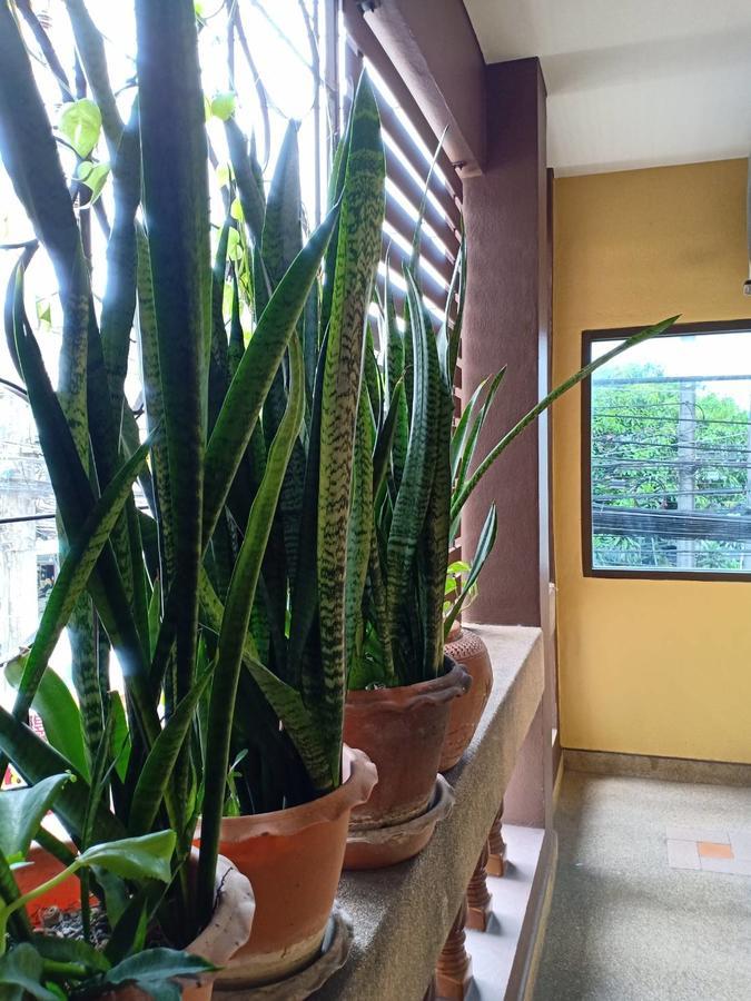 Kookkai House Hostel Patong Luaran gambar